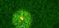 QooBee in the Green Wallpaper