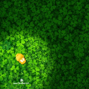 Qoobee Hiding Among Green Leaves Wallpaper